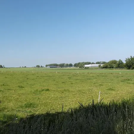 Di'mami House Avenhorn