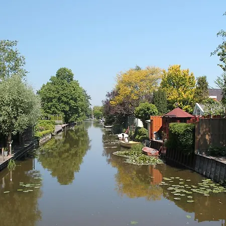 Di'mami House Avenhorn