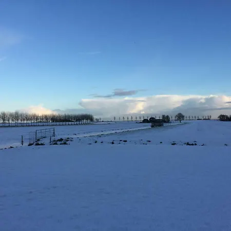 Di'mami House Avenhorn