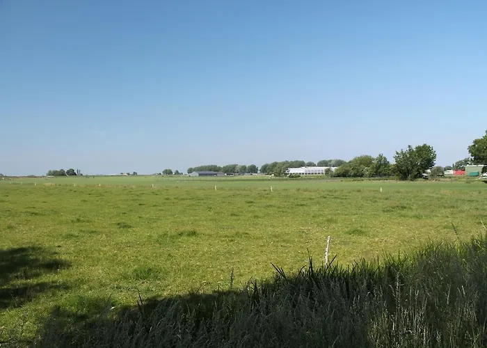 Di'mami House Avenhorn