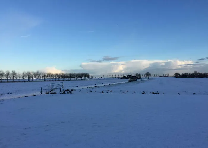 Di'mami House Avenhorn